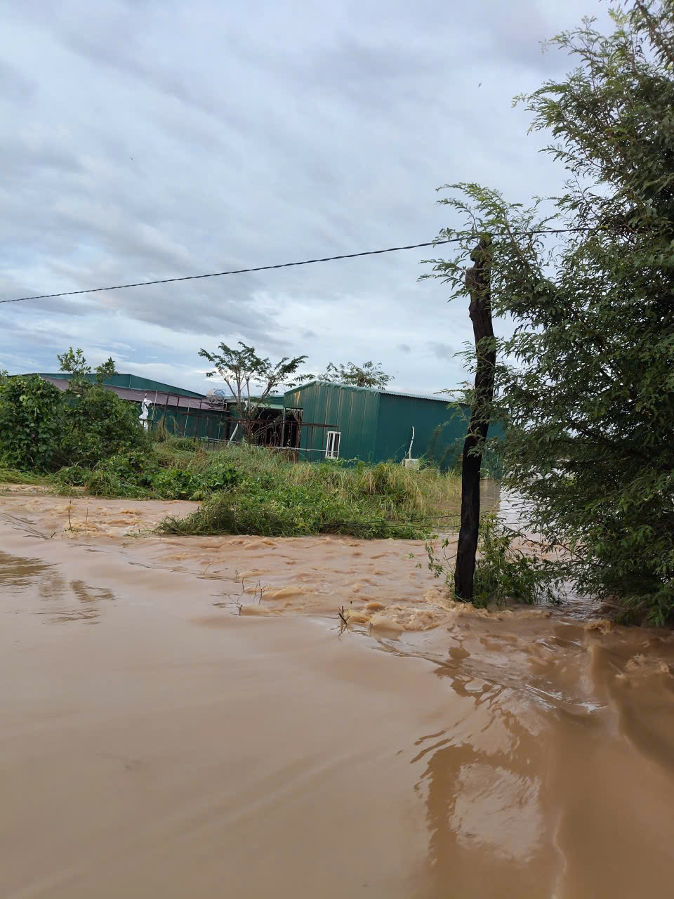 z7197211353614_2b746e73e50a01606eb5b395eb404e1f