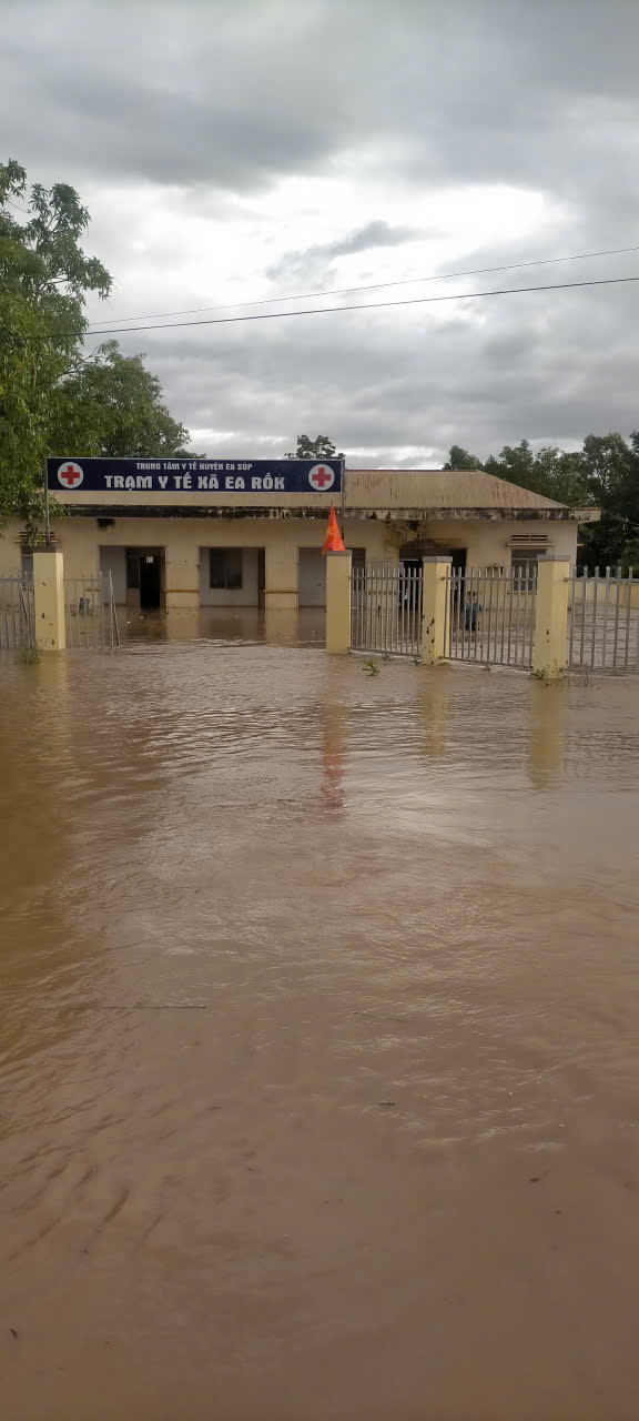 z7197219505459_cbd85c9d94d97662e16d66c1686a2b57