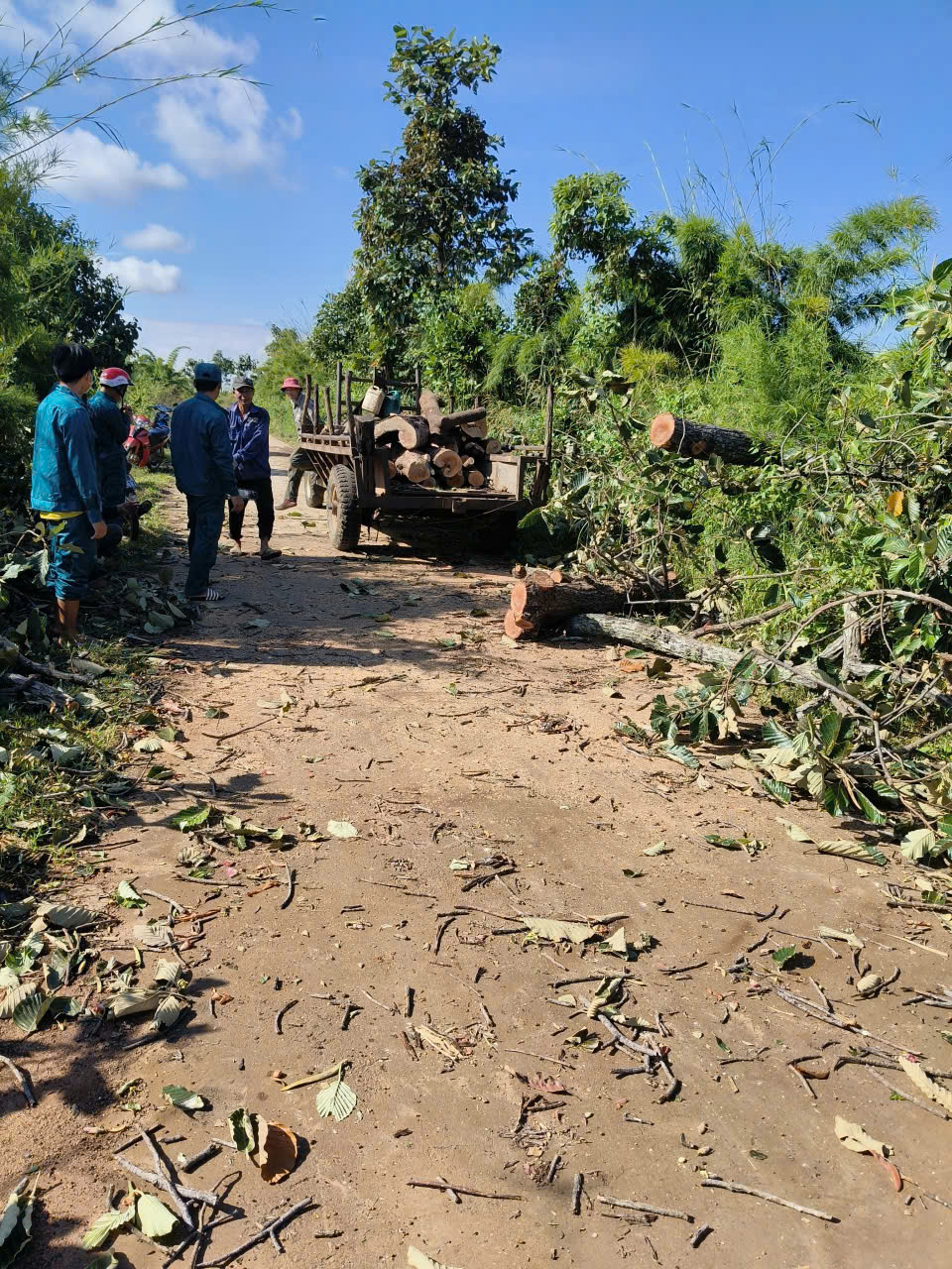 z7201817723219_a2bc79c82bf4d89e67f05dcfd7f0a61b