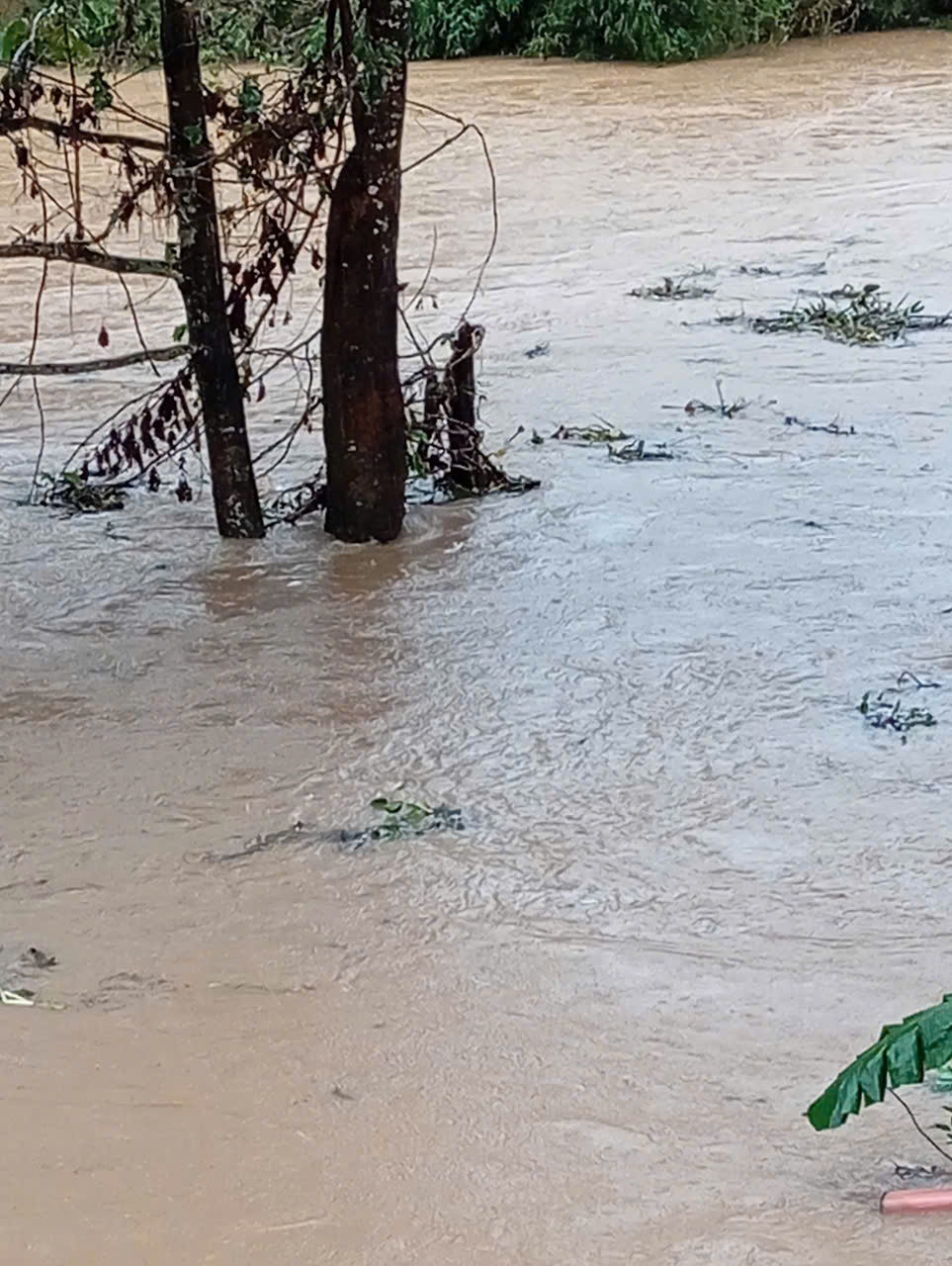 z7239825765614_240dc73bc6cf972ae3fd34749c09decc