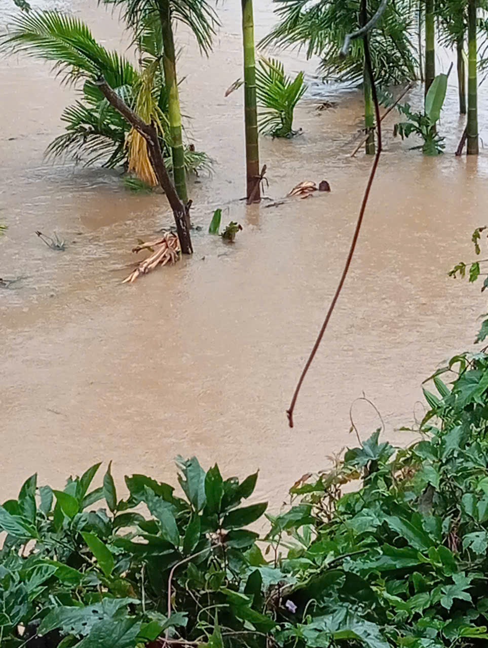 Xã Ea Rốk cảnh báo khẩn về tình hình mưa lũ và xả tràn tại hai hồ Ea Súp Thượng và Ea Súp Hạ