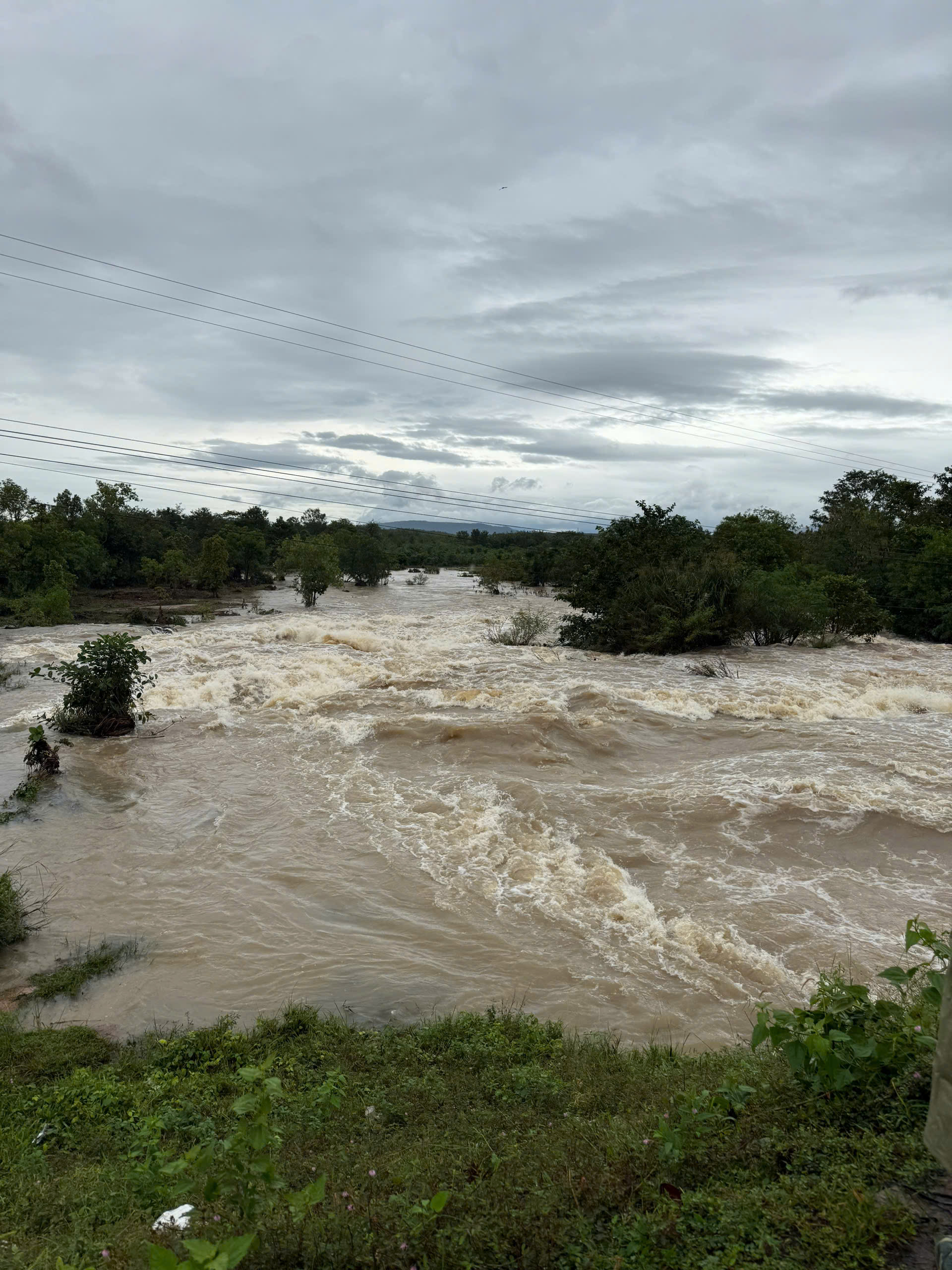 z7240926406096_5404a5311964cf5ac449c907bd4e5582