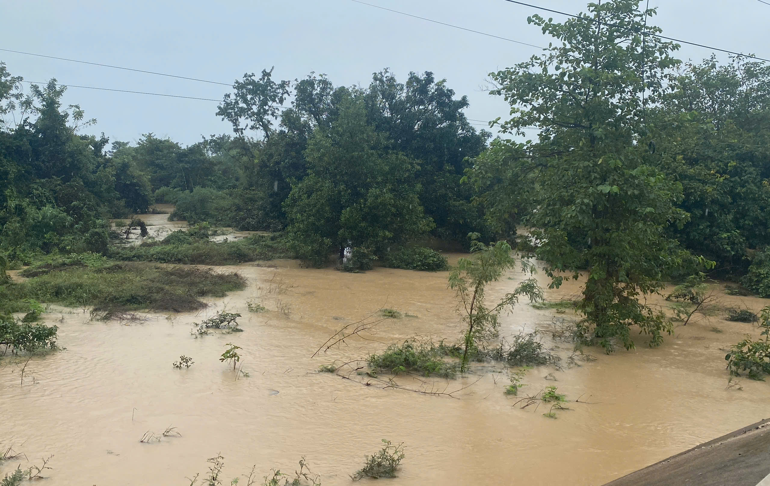 z7240926809637_535f602f1682135d06ef458edca15449