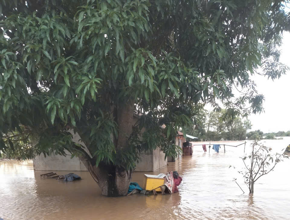 z7243649339011_436ba56bcae2a91ce697ed8e3c0117fb