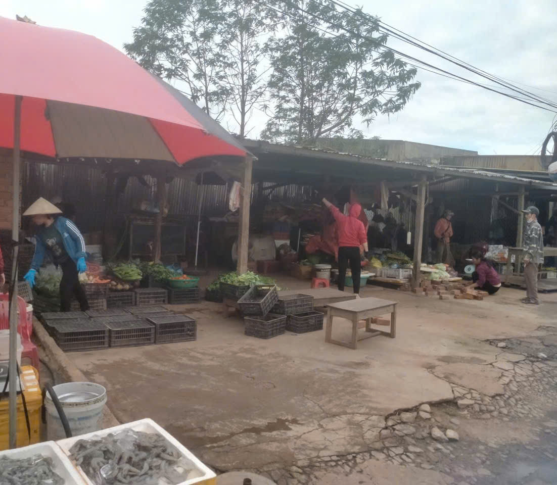 z7332668369118_8fb62af54ff490258ac81a9a0f44a057