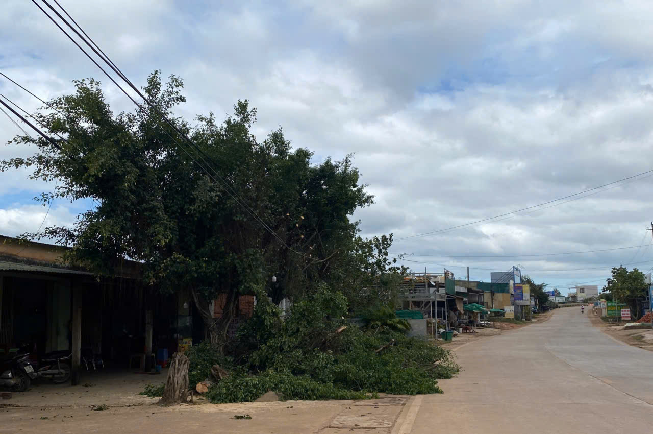 z7332668391119_e2277cc7a61b93b231b60d43b5cc490f